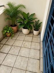 Nineteen Shelford Road (D11), Condominium #634920771